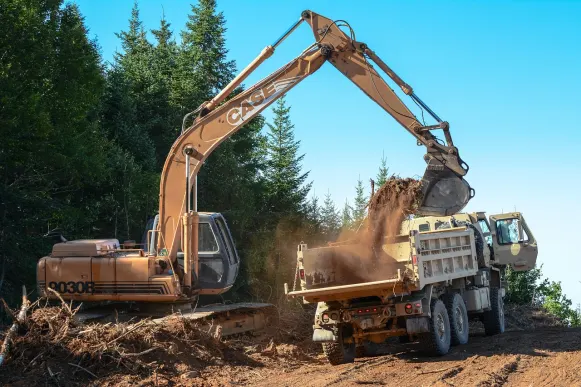 Lupin Casino Ondersteuning